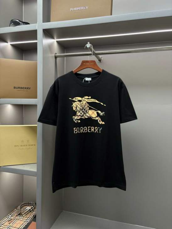 Picture of Burberry T Shirts Short _SKUBurberryS-2XLaztxQ24719841